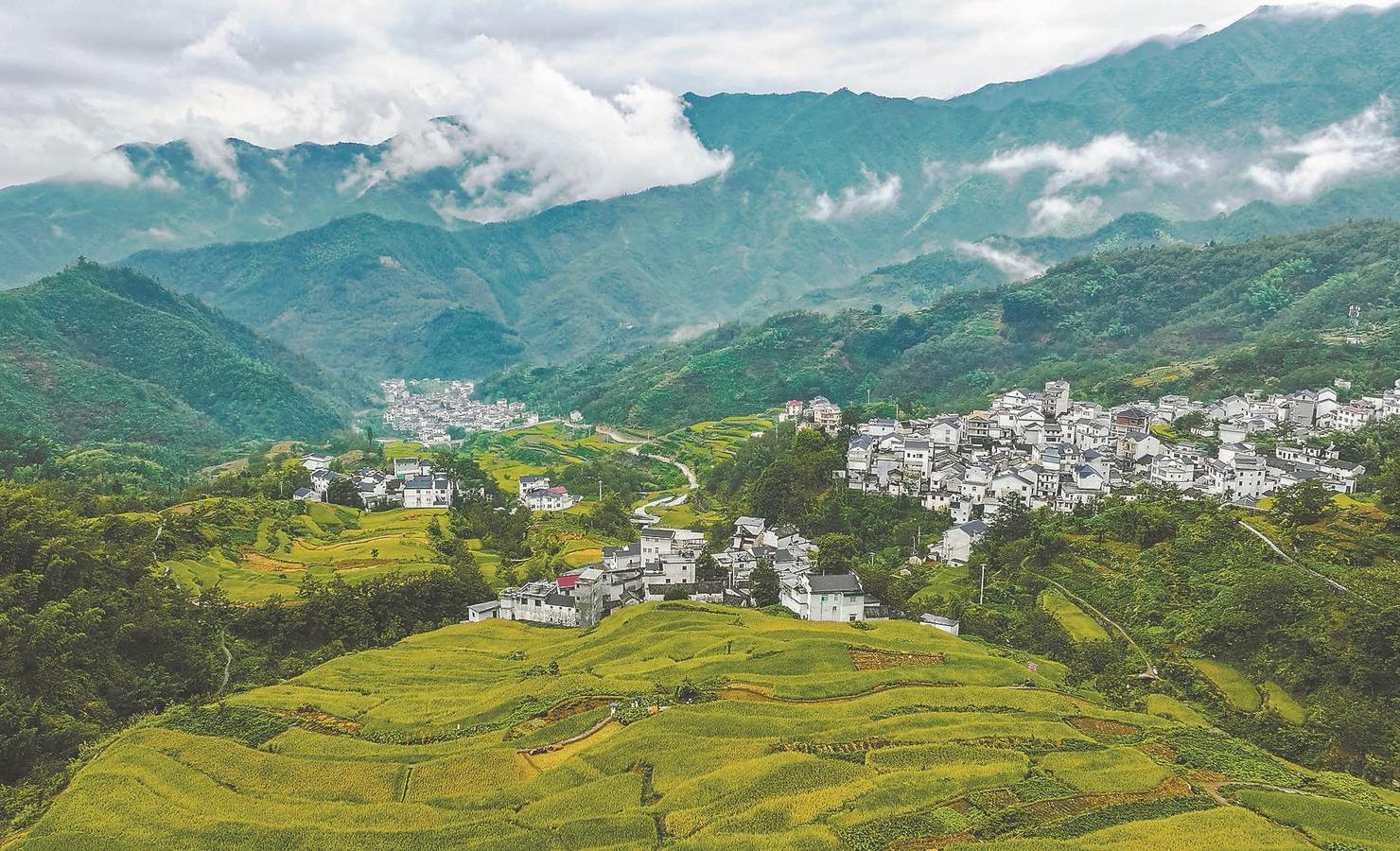 探寻安徽之美,自然与文化交融的绿色画卷🌟🏞️🍃