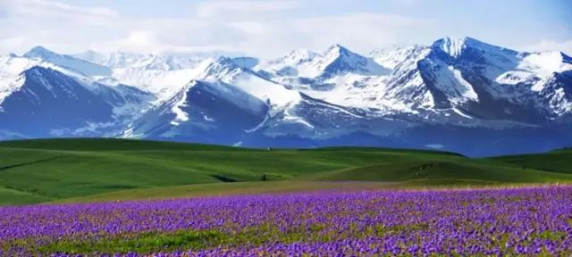 新疆的魅力与风情