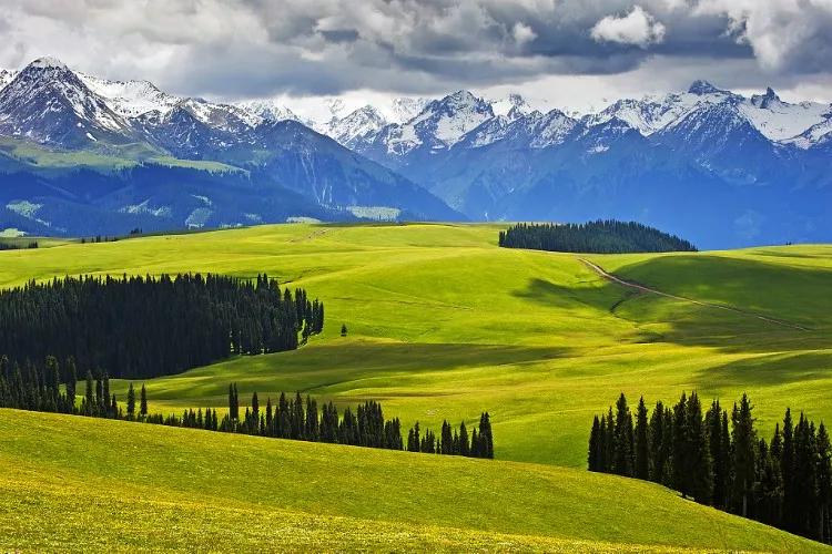 新疆智能新纪元,新疆奇迹·智领未来