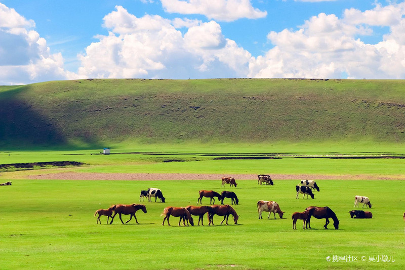 呼伦贝尔,嘉宾云集,共享精彩时刻