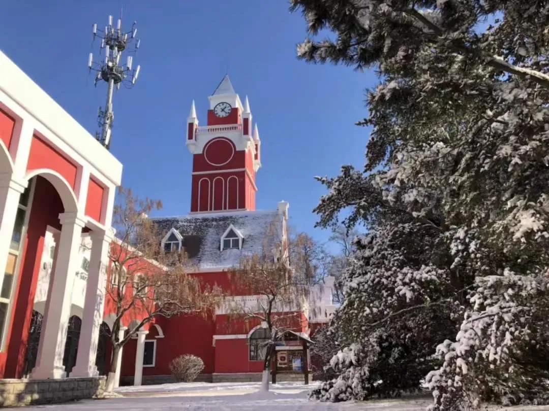 沈阳探秘,小巷独特风味之旅