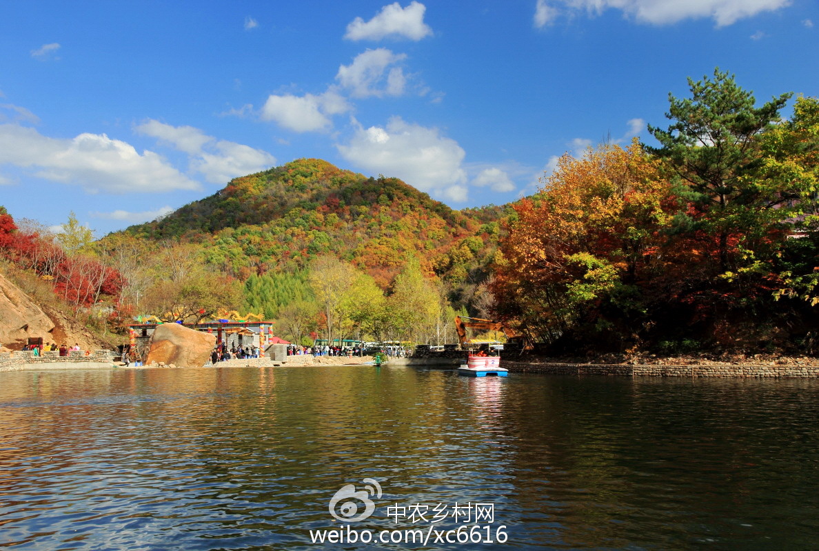 本溪之光，学习变化的力量与自信成长之旅